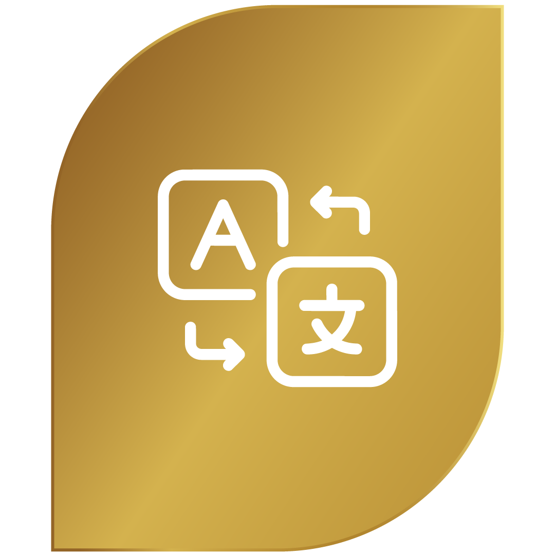 multilingual-icon